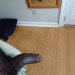 Raleigh swinger hotwife & cuckold profile – BBCWifePleaser1 on Rocktie