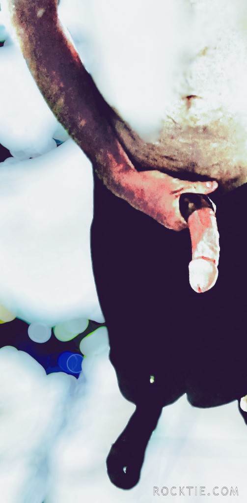 Swingers Hotwife Cuckold Daytona Beach - Woodylongwood9inMW