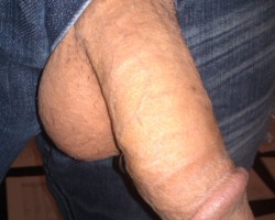 Swinger Hotwife Cuckold DFW - TheDenverBull