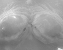 Swinger Hotwife Cuckold Wichita - MixitupICT