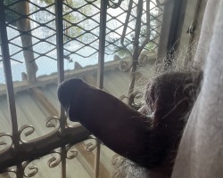 Swinger Hotwife Cuckold Abilene - WildKinky1