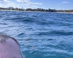 Swinger Hotwife Cuckold User