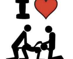  - HTx_HallPassBull Photo