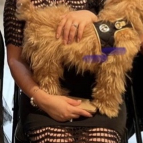 Hotwifecouple: Swingers Hotwife Cuckold