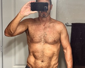 User member profile in ,