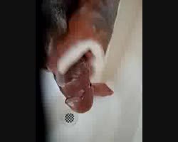 20190115_115414 shower