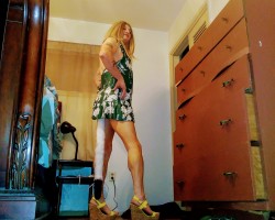 User member profile in ,