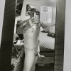 Fresno swinger hotwife & cuckold profile – Davidl82 on Rocktie