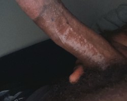 Swinger Hotwife Cuckold Jacksonville - SiriusBlk