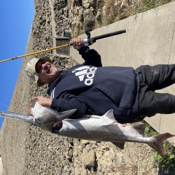 Presto097: Swingers Hotwife Cuckold