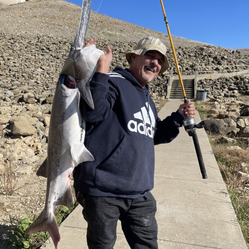 Presto097: Swingers Hotwife Cuckold