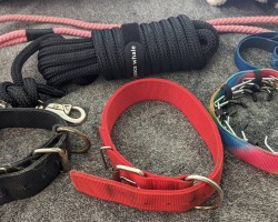 Swinger Hotwife Cuckold Louisville - loving_life