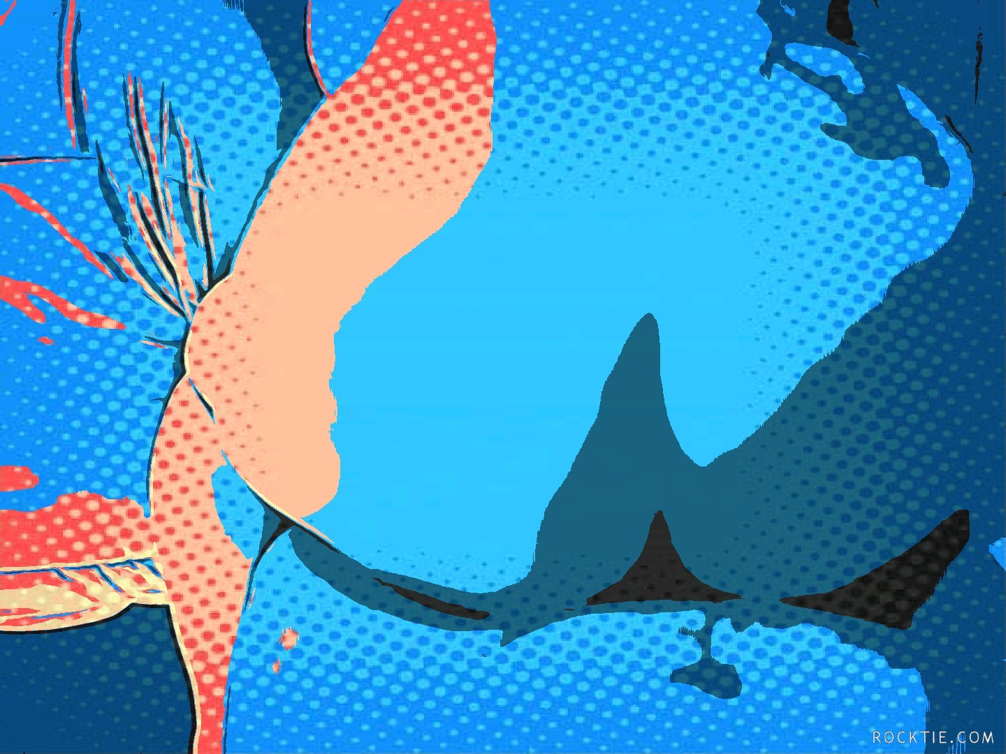 Swingers Hotwife Cuckold Jacksonville - SandyToes