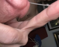 Swinger Hotwife Cuckold Louisville - Ky420guy