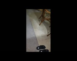 Wife Sharing