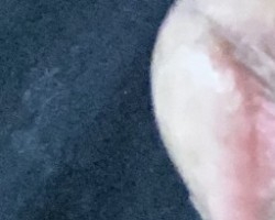 Swinger Hotwife Cuckold Tucson - GMC.Athena01