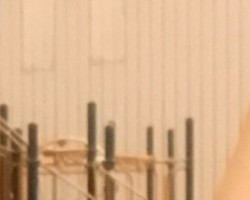 Swinger Hotwife Cuckold Atlanta - Steve20t