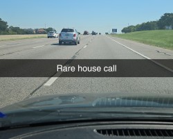 Swinger Hotwife Cuckold DFW - WELLNESSPRIORITY