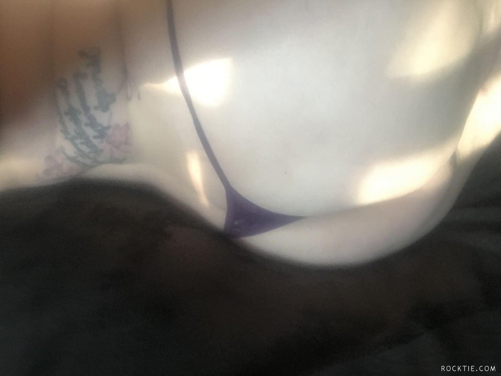 Swingers Hotwife Cuckold Tampa-Lakeland - Dconnie1212