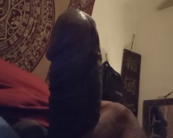 User member profile in , 