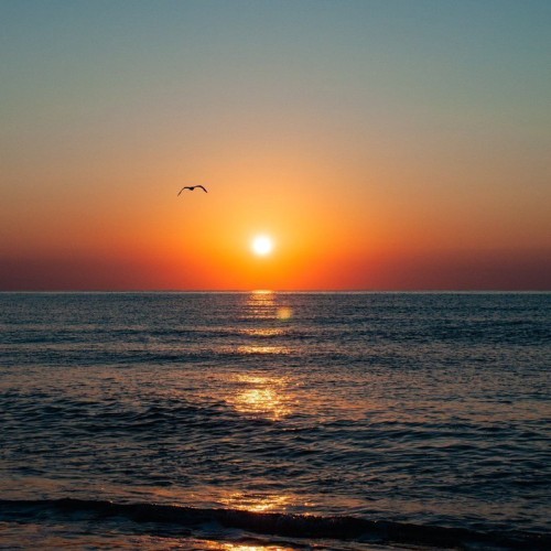 BusinessTraveler: Swingers Hotwife Cuckold