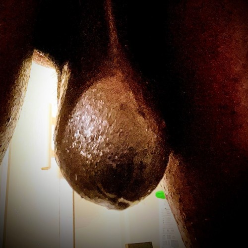 BYUBC: Swingers Hotwife Cuckold