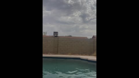 Cleaning a Pool for a swinger couple