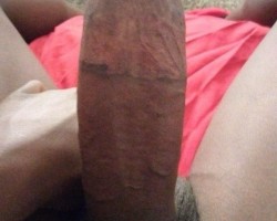 Looking for fun 8in bbc top