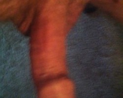  - seeking Photo
