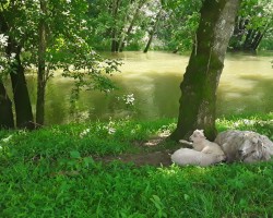 Swinger Hotwife Cuckold Louisville - loving_life