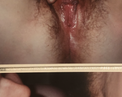 Swinger Hotwife Cuckold User