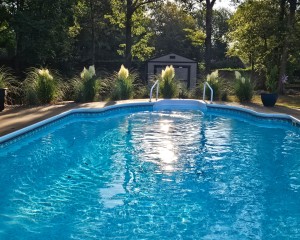 Join Me Poolside - Meet, Mingle and who knows...
