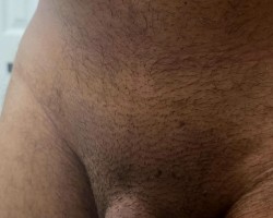 Swinger Hotwife Cuckold Tampa-Lakeland - NewHotwifeBull