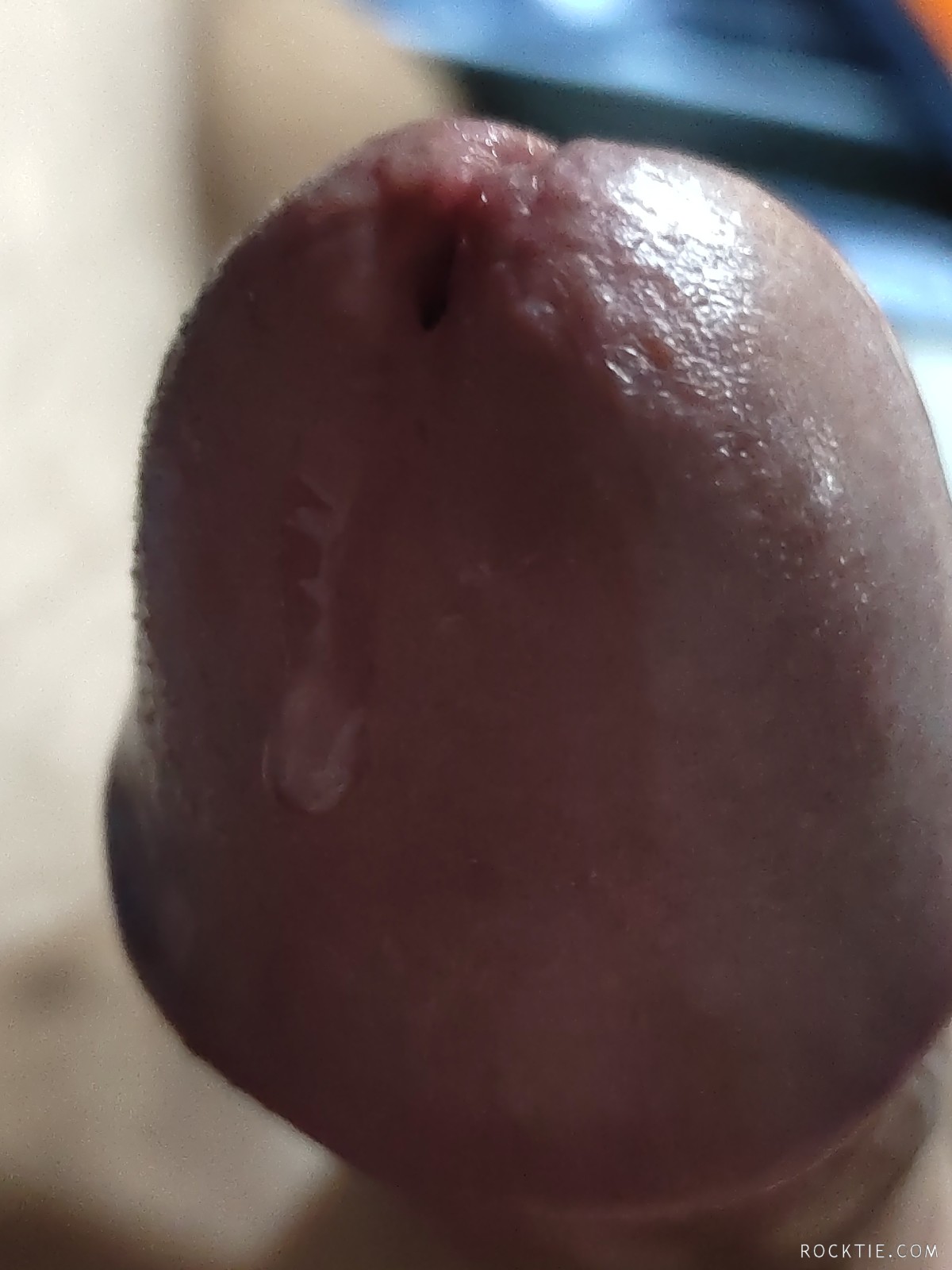 Swingers Hotwife Cuckold Bridgeport - Tygurrr