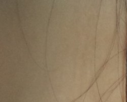 Swinger Hotwife Cuckold Tucson-South AZ - Scuba6