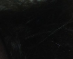 Swinger Hotwife Cuckold Memphis - CJBlackDom