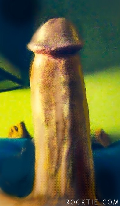 Swingers Hotwife Cuckold Hartford - HellaFineCPL