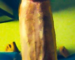  - HellaFineCPL Photo