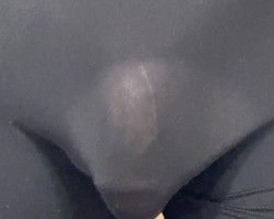 Swinger Hotwife Cuckold Fort Collins - hornycpl4u