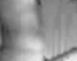 Swinger Hotwife Cuckold Greensboro - Bigrunnercock