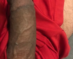 Swinger Hotwife Cuckold Austin - Briss