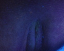 Swinger Hotwife Cuckold Phoenix-Mesa - Trainer850