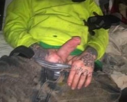 Swinger Hotwife Cuckold Kansas City - Kittenkiller