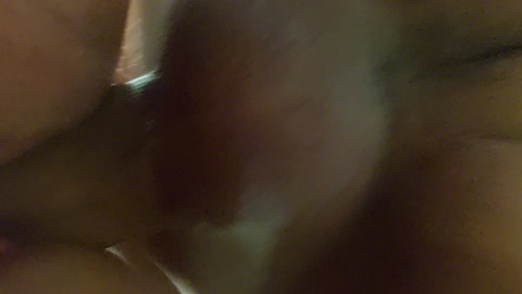 "DOGGY FROM DOWN UNDER"