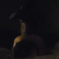 W3WANTHER: Swingers Hotwife Cuckold