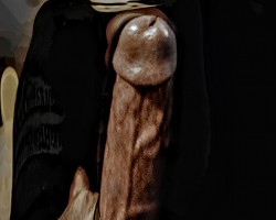 Swinger Hotwife Cuckold Daytona Beach - Woodylongwood9inMW