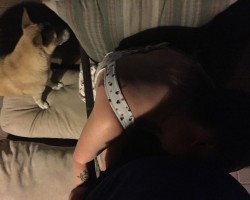 Swinger Hotwife Cuckold Las Vegas - RkitCkit