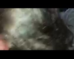 Sucking BBC