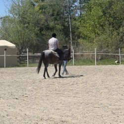 Jason007: Swingers Hotwife Cuckold