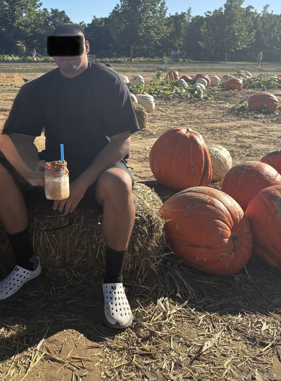 Swingers Hotwife Cuckold Sonoma Co. - LittleBull